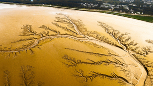Réparation Dégât des Eaux Coudekerque-Branche